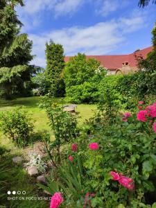 KarnitzChata pod Różą的一座种有粉红色花卉的花园,一座房子的背景