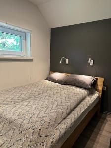 VārveVecliepas的一间卧室配有一张带两个灯的床