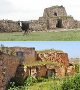 Dar Oulad bou AzizHospitalité de générosité的两幅有牛的老石头建筑的照片