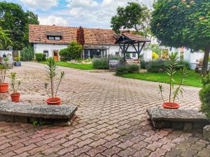 TagyonVidéki Ház的砖路上有三株盆栽植物的房子