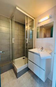 帕讷福莱斯特亚酒店的一间带水槽和淋浴的浴室