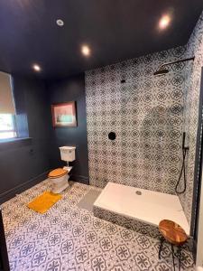 威尔斯浦Llanerchydol Hall Suites的带淋浴和卫生间的浴室