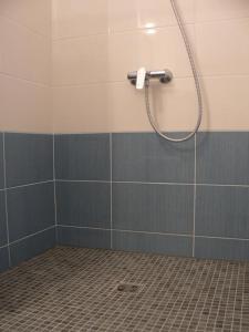 比亚里茨阿利扎斯酒店的浴室设有蓝色和灰色瓷砖,配有淋浴。