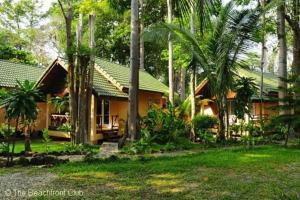 象岛棕榈树天堂度假酒店的一座拥有绿色屋顶和棕榈树的房子