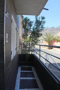 明德卢SAM House的建筑一侧种植植物的阳台