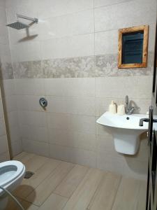 杰里科Al bader villa的一间带水槽和卫生间的浴室
