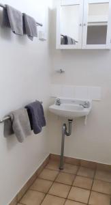 Home Hill博德金汽车旅馆的浴室配有盥洗盆、镜子和毛巾