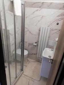 泽勒兹纳·鲁达泽勒兹纳鲁达公寓的带淋浴、卫生间和盥洗盆的浴室