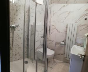 泽勒兹纳·鲁达泽勒兹纳鲁达公寓的带淋浴、卫生间和盥洗盆的浴室