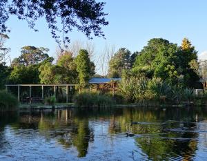 怀卡奈Theo's Cottage的池塘,池塘有凉亭,水中有鸭子