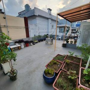 釜山JUN house - Foreign Only的庭院里种着一堆盆栽植物