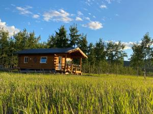 怀特霍斯Oma's and Opa's Northern Lights Viewing Cabin的田间小屋