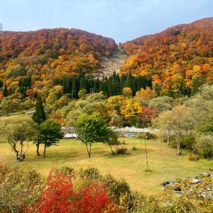 汤泽町Lakeside HANARE的享有山丘和田野树木的景色