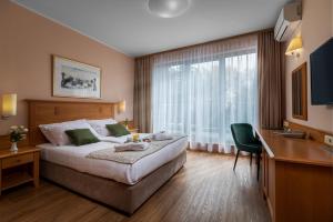 霍茨科波霍尔耶Grand Hotel BELLEVUE的配有一张床、一张书桌和一扇窗户的酒店客房
