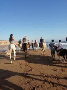 奥瑞尔Agadir aourir maroc的一群人在海滩上骑马