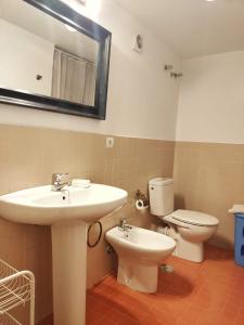 桑卢卡尔-德巴拉梅达PRECIOSO LOFT en PALACIO DE GODOY的一间带水槽、卫生间和镜子的浴室