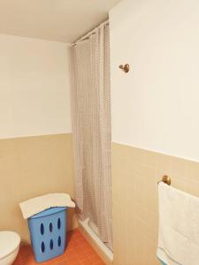 桑卢卡尔-德巴拉梅达PRECIOSO LOFT en PALACIO DE GODOY的一间带卫生间和淋浴帘的浴室