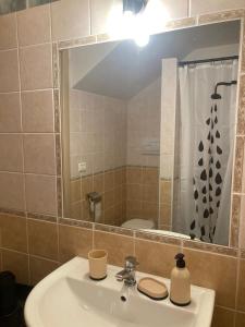 维科德尔加尔加诺Casa Maremonti - Gargano的浴室设有水槽、镜子和淋浴