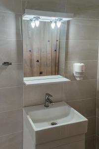 索瓦拉米斯哈拉酒店的一间带水槽和镜子的浴室
