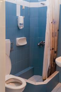 索瓦拉米斯哈拉酒店的蓝色的浴室设有卫生间和淋浴。