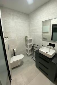 特鲁希略Casa Estudio Trujillo的一间带水槽、卫生间和镜子的浴室
