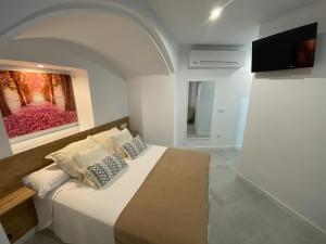 特鲁希略Casa Estudio Trujillo的一间卧室配有一张壁画床