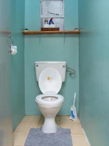 内罗毕Elegant Touch Home - 2 Bedroom House in Karen的一间带卫生间和蓝色墙壁的浴室