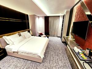 MidyatAsur Imperıal Hotel的配有一张床和一台平面电视的酒店客房