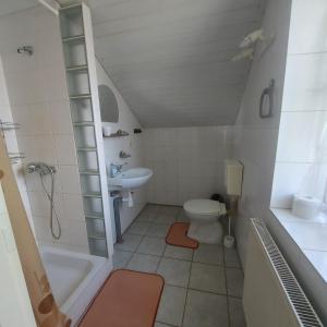 SablówkaPokoje Gościnne u Huberta的一间带卫生间和水槽的小浴室
