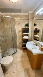 马拉加Picassia Home Malaga Center的带淋浴、卫生间和盥洗盆的浴室