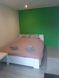 WingeneWoning gelegen in rustige bosrijke omgeving的一间卧室配有一张带绿色墙壁的床