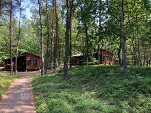 斯蒂格纳Leśnik Bungalow Stegna - domki letniskowe nad morzem的泥路旁树林中的小屋