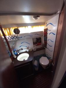 伊斯基亚Barca deliziosa的一间带水槽和卫生间的小浴室