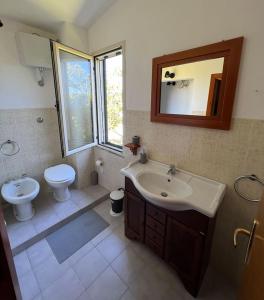 奥罗塞伊Putzurile House的一间带水槽、卫生间和镜子的浴室