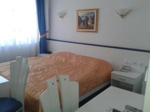 布莱德博亚娜镇酒店的一间小卧室,配有一张床和一张桌子