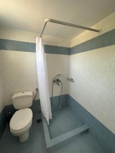 帕罗斯岛Parodise Apartment的一间带卫生间和淋浴的浴室