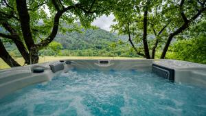 代尔尼采Holiday House Sofia的田野上带水和树木的热水浴池