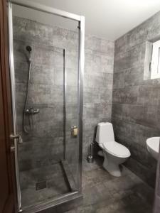 杜劳Pensiunea Lu' Movila的带淋浴、卫生间和盥洗盆的浴室