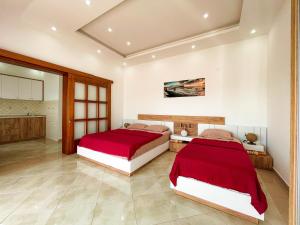 乌尔齐尼Apartments Villa Egzon的一间带两张床的卧室和一间厨房