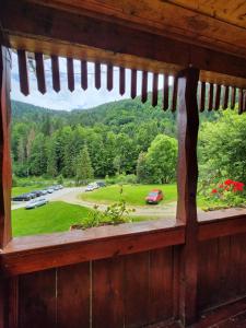 拉奇特勒Pensiunea Susman的小屋内享有公园景致的窗户
