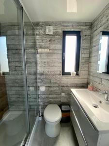 波莫瑞地区卡缅Hausboot- Domy na wodzie - Houseboat Porta Mare的浴室配有卫生间、盥洗盆和淋浴。