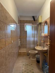 索科矿泉村Apartments Božinović的一间带水槽、卫生间和淋浴的浴室