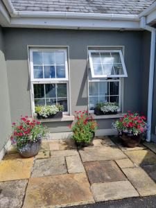 CollinstownHighfield house bed and breakfast COLLINSTOWN的灰色的房子,有两扇窗户和盆栽植物