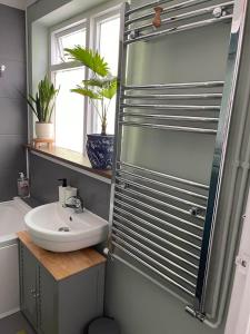 纽马基特Newmarket Cosy Stay的一间带水槽和玻璃淋浴的浴室
