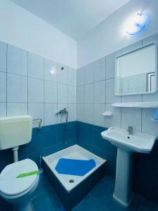 科斯蒂内什蒂PIERRE 3 la Tarmul MARII -primim Vouchere Vacanta的蓝色和白色的浴室设有卫生间和水槽
