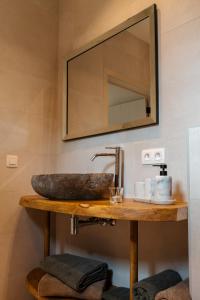 StekeneVakantiehoeve 'De Zandrug'的一间带石制水槽和镜子的浴室