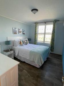 圣菲利普Cottage: 7 minutes from airport!的一间蓝色卧室,配有床和2个窗户