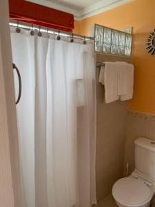 圣菲利普Cottage: 7 minutes from airport!的浴室配有白色的浴帘和卫生间