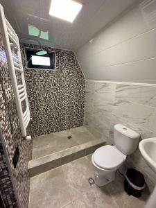 卡兹贝吉Thomas' Hut的一间带卫生间和水槽的浴室