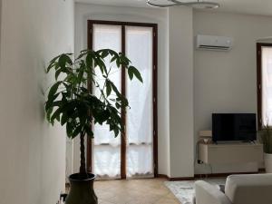 克雷莫纳Appartamento Dante的门前种植植物的客厅